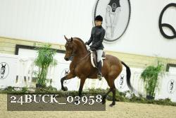 24BUCK_03958 thumbnail