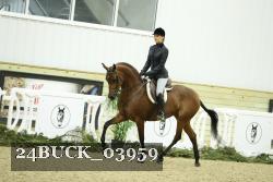 24BUCK_03959 thumbnail
