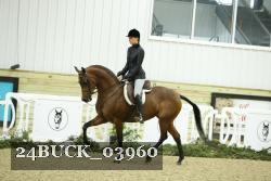 24BUCK_03960 thumbnail