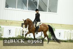 24BUCK_03962 thumbnail