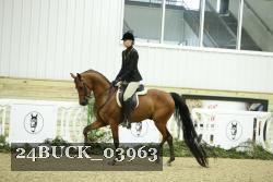 24BUCK_03963 thumbnail