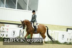 24BUCK_03964 thumbnail