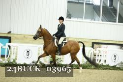 24BUCK_03965 thumbnail