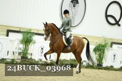 24BUCK_03968 thumbnail