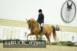 24BUCK_03969 thumbnail