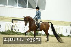 24BUCK_03971 thumbnail
