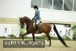24BUCK_03974 thumbnail