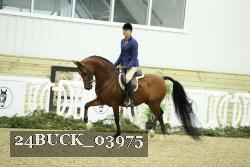 24BUCK_03975 thumbnail