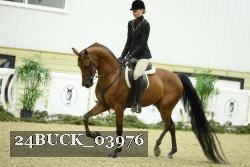 24BUCK_03976 thumbnail
