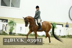 24BUCK_03981 thumbnail