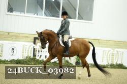 24BUCK_03982 thumbnail