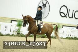 24BUCK_03983 thumbnail