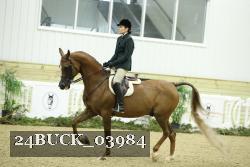24BUCK_03984 thumbnail