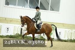 24BUCK_03986 thumbnail