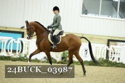 24BUCK_03987 thumbnail