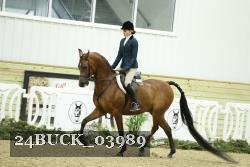 24BUCK_03989 thumbnail