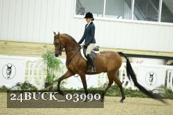 24BUCK_03990 thumbnail