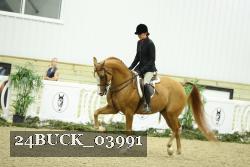 24BUCK_03991 thumbnail