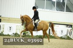 24BUCK_03992 thumbnail