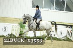 24BUCK_03993 thumbnail