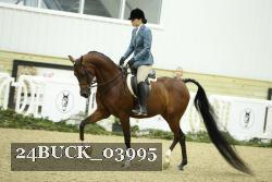 24BUCK_03995 thumbnail