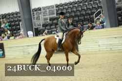 24BUCK_04000 thumbnail