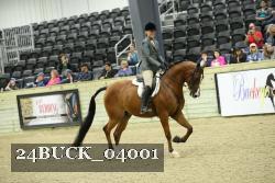 24BUCK_04001 thumbnail