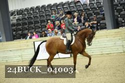 24BUCK_04003 thumbnail