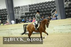 24BUCK_04004 thumbnail