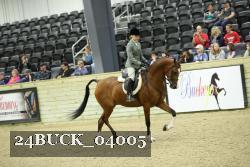 24BUCK_04005 thumbnail