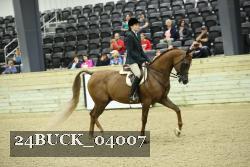 24BUCK_04007 thumbnail