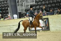 24BUCK_04009 thumbnail