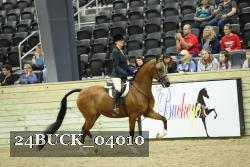24BUCK_04010 thumbnail