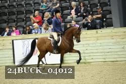 24BUCK_04012 thumbnail