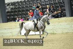 24BUCK_04013 thumbnail