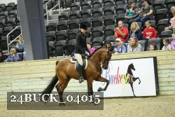 24BUCK_04015 thumbnail