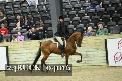 24BUCK_04016 thumbnail