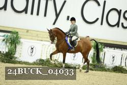 24BUCK_04033 thumbnail