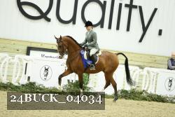 24BUCK_04034 thumbnail