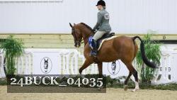 24BUCK_04035 thumbnail