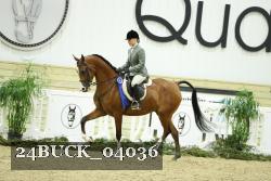 24BUCK_04036 thumbnail
