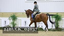 24BUCK_04037 thumbnail