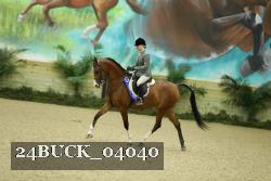 24BUCK_04040 thumbnail