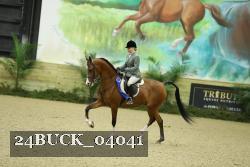 24BUCK_04041 thumbnail