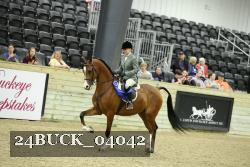 24BUCK_04042 thumbnail