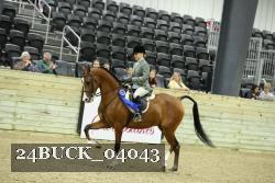 24BUCK_04043 thumbnail
