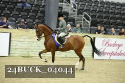 24BUCK_04044 thumbnail