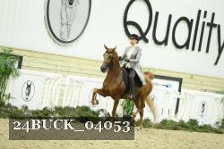 24BUCK_04053 thumbnail