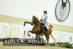 24BUCK_04054 thumbnail