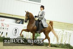 24BUCK_04055 thumbnail
